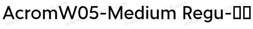 AcromW05-Medium Regu字体转换